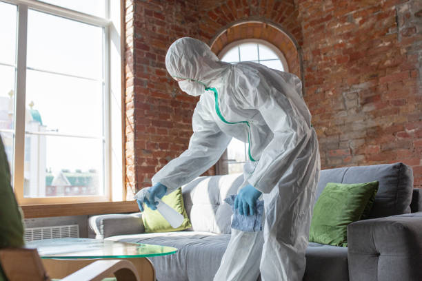 Why You Should Choose Our Mold Remediation Services in Lake Landor, VA